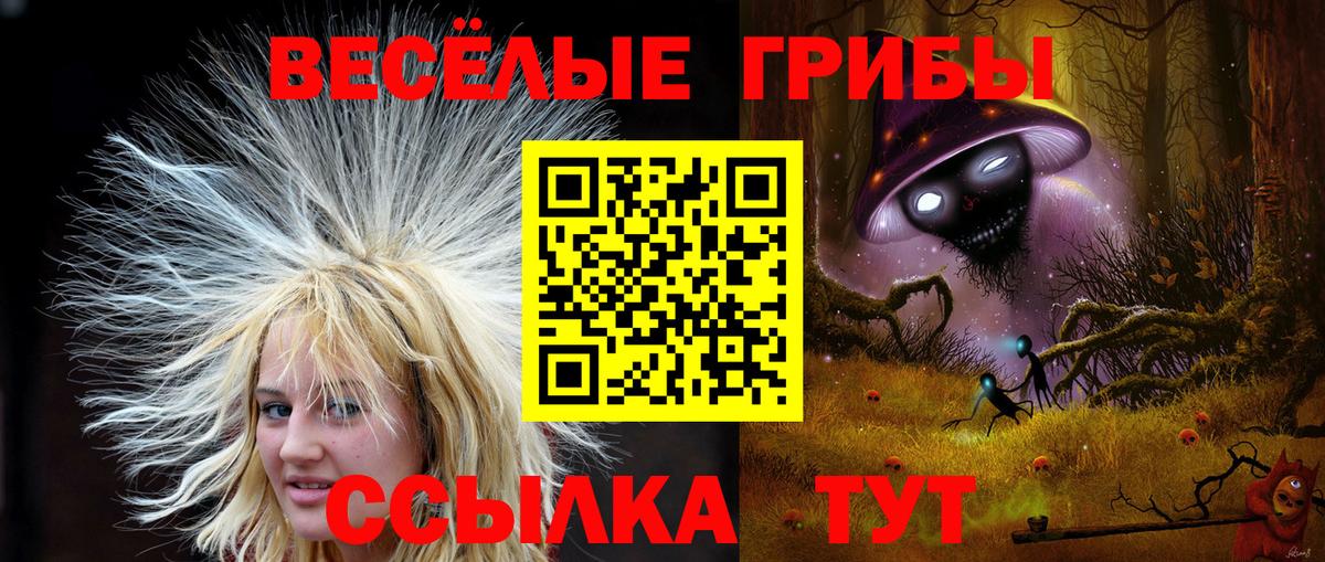 Кудымкар  Псилоцибиновые грибы мицелий  Вход с VPN  Псилоцибиновые грибы MAGIC MUSHROOMS 
