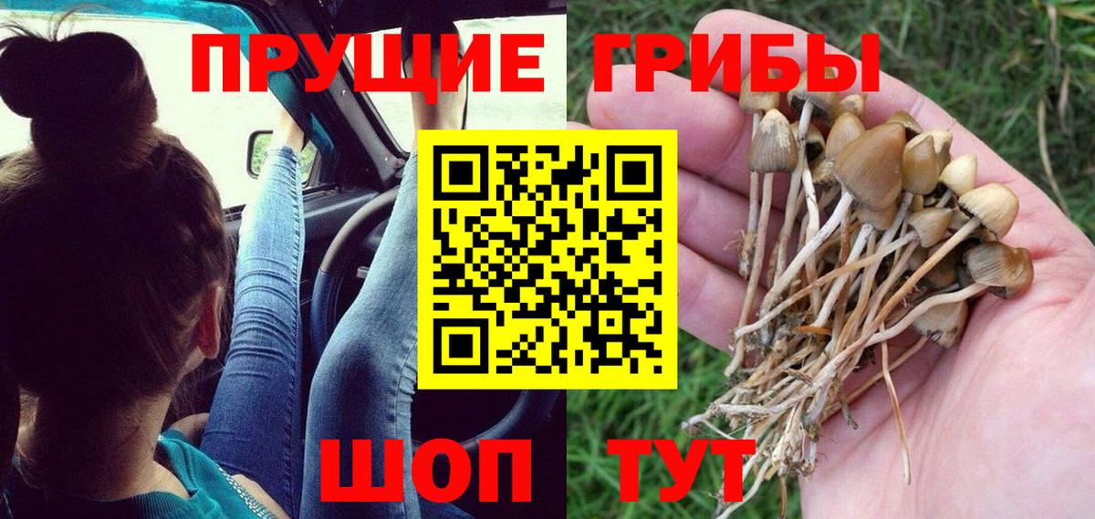 Псилоцибиновые грибы MAGIC MUSHROOMS Кудымкар